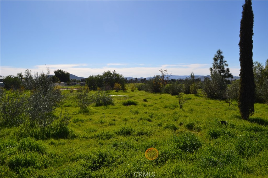29580 Patelli Way Menifee, CA 92585 - Photo 13 of 38 a view of a green field with lots of bushes