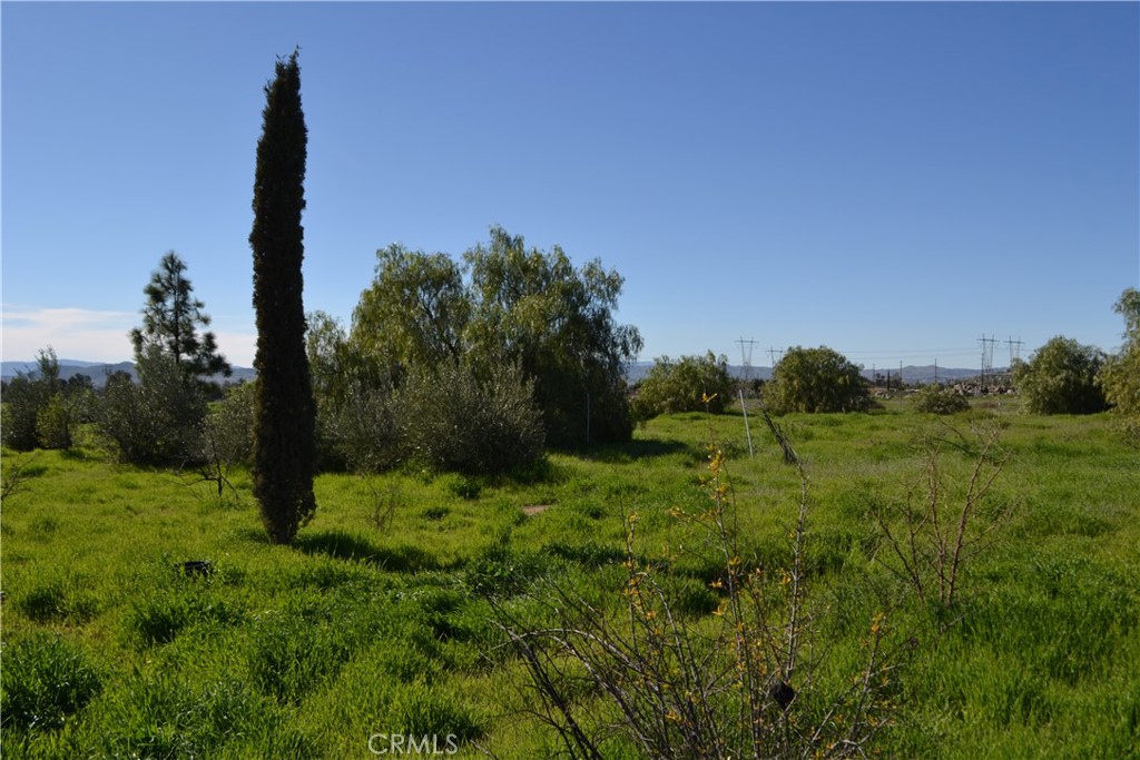 29580 Patelli Way Menifee, CA 92585 - Photo 14 of 38 a fire hydrant in the middle of a field