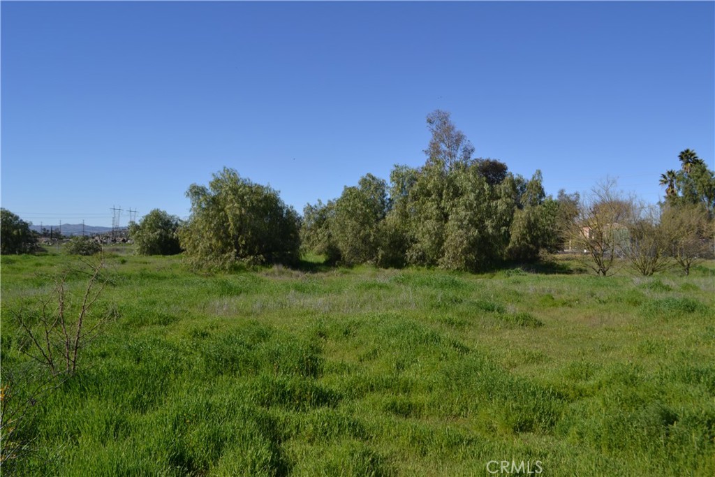29580 Patelli Way Menifee, CA 92585 - Photo 15 of 38 a backyard of a house with lots of green space