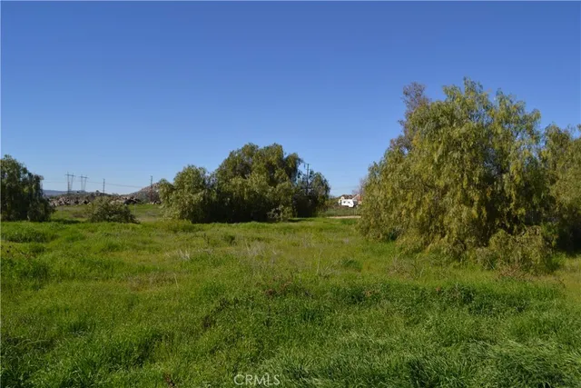 a view of a lush green space