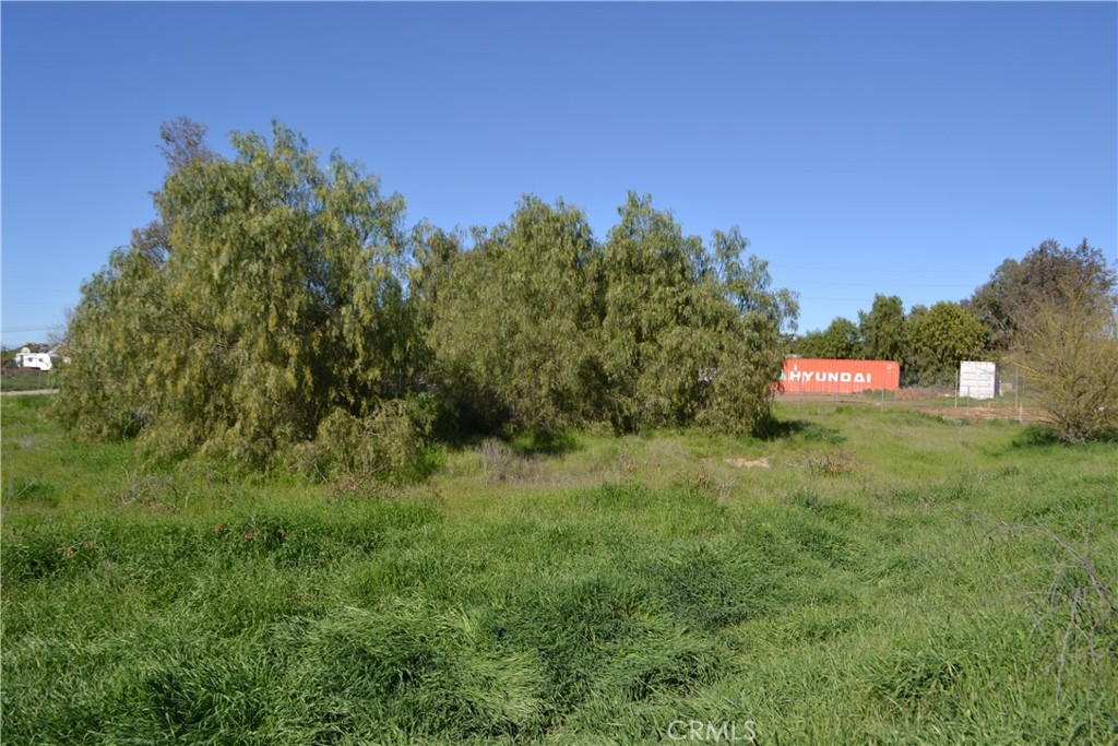 29580 Patelli Way Menifee, CA 92585 - Photo 17 of 38 a view of a green field