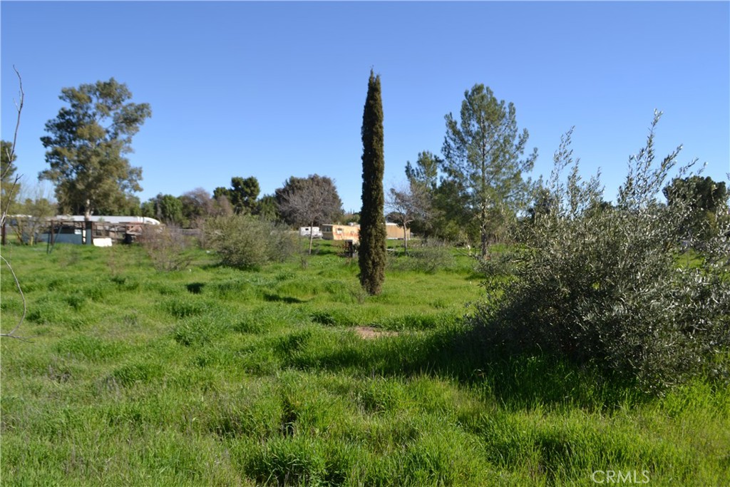 29580 Patelli Way Menifee, CA 92585 - Photo 18 of 38 a view of a garden with a tree
