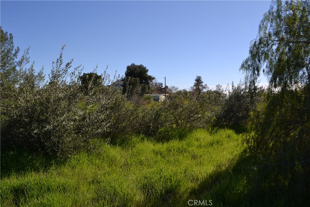 29580 Patelli Way Menifee, CA 92585 - Photo 19 of 38 a view of a lush green space with sea