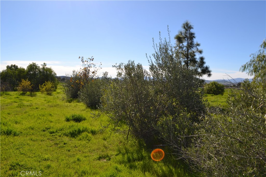 29580 Patelli Way Menifee, CA 92585 - Photo 21 of 38 a view of a pathway both side of yard