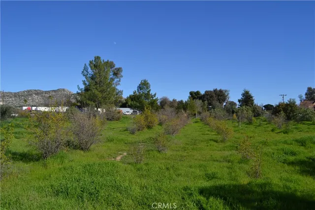 a view of a lush green space