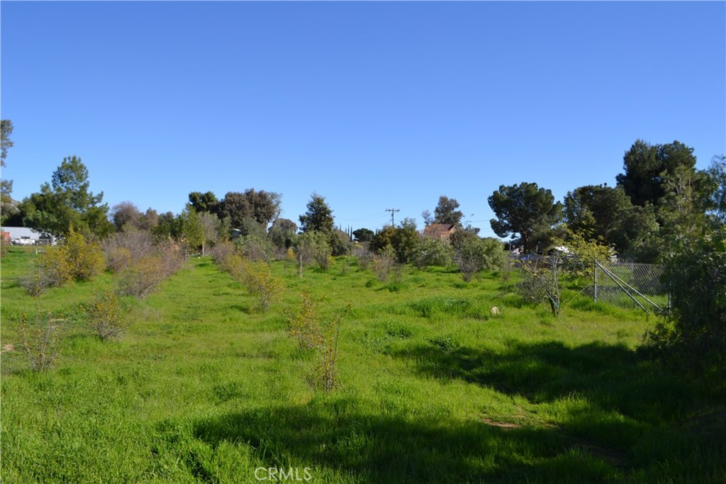 29580 Patelli Way Menifee, CA 92585 - Photo 25 of 38 a view of a lush green space