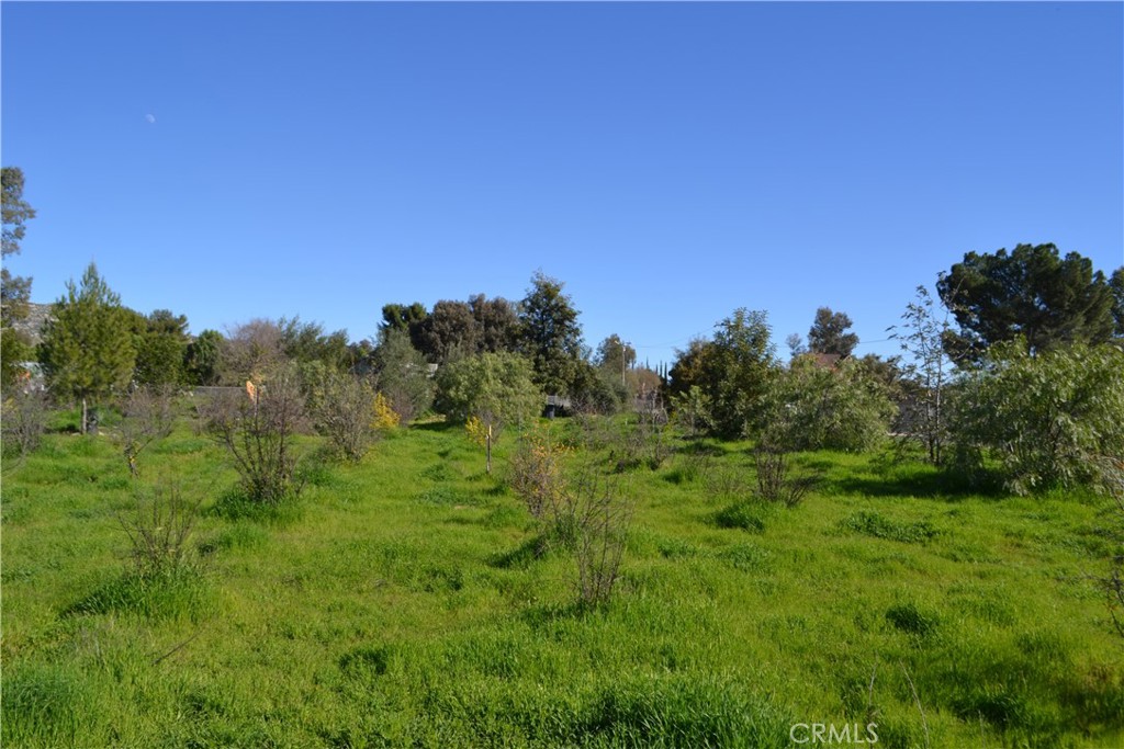 29580 Patelli Way Menifee, CA 92585 - Photo 26 of 38 a view of a lush green space