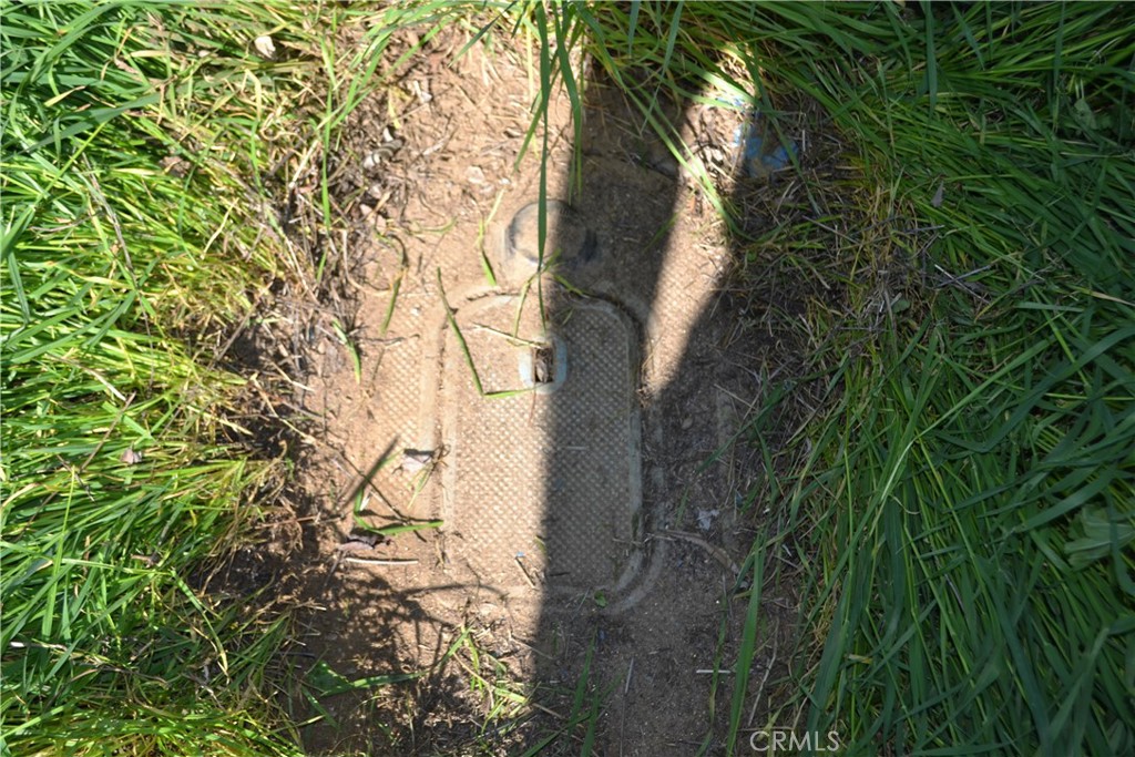 29580 Patelli Way Menifee, CA 92585 - Photo 27 of 38 a view of tree