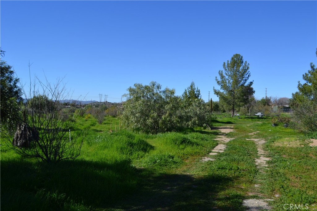 29580 Patelli Way Menifee, CA 92585 - Photo 5 of 38 a view of a garden with a tree in the background