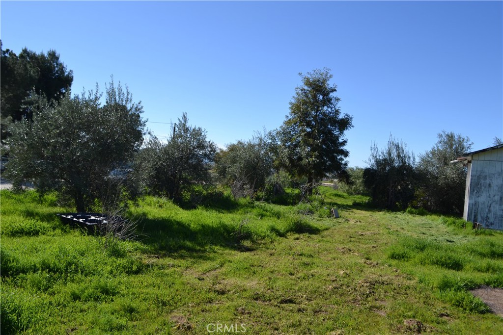 29580 Patelli Way Menifee, CA 92585 - Photo 6 of 38 a view of a green field with lots of bushes