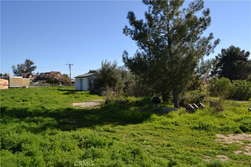 29580 Patelli Way Menifee, CA 92585 - Photo 9 of 38 a view of a garden with plants and large trees