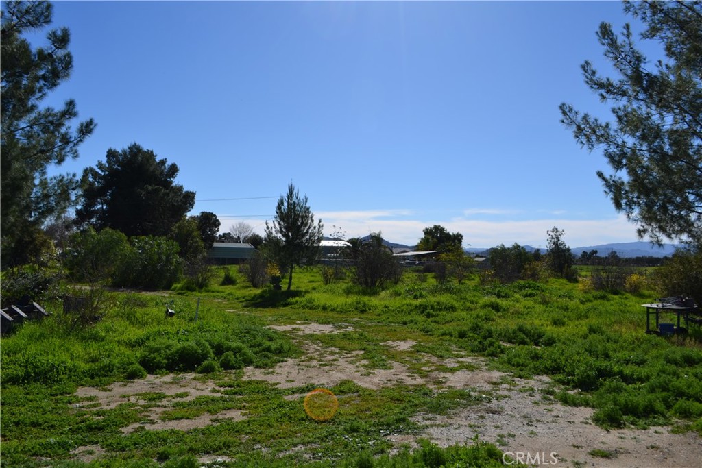 29580 Patelli Way Menifee, CA 92585 - Photo 10 of 38 a view of a large garden with a house