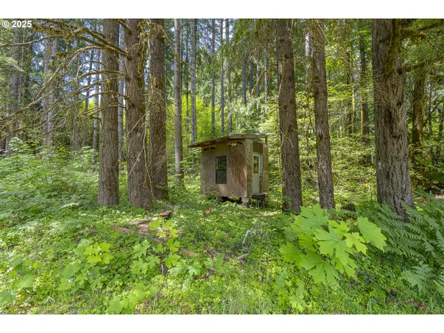 $205,000 | 448 Mountain Avenue, Idanha, OR 97350