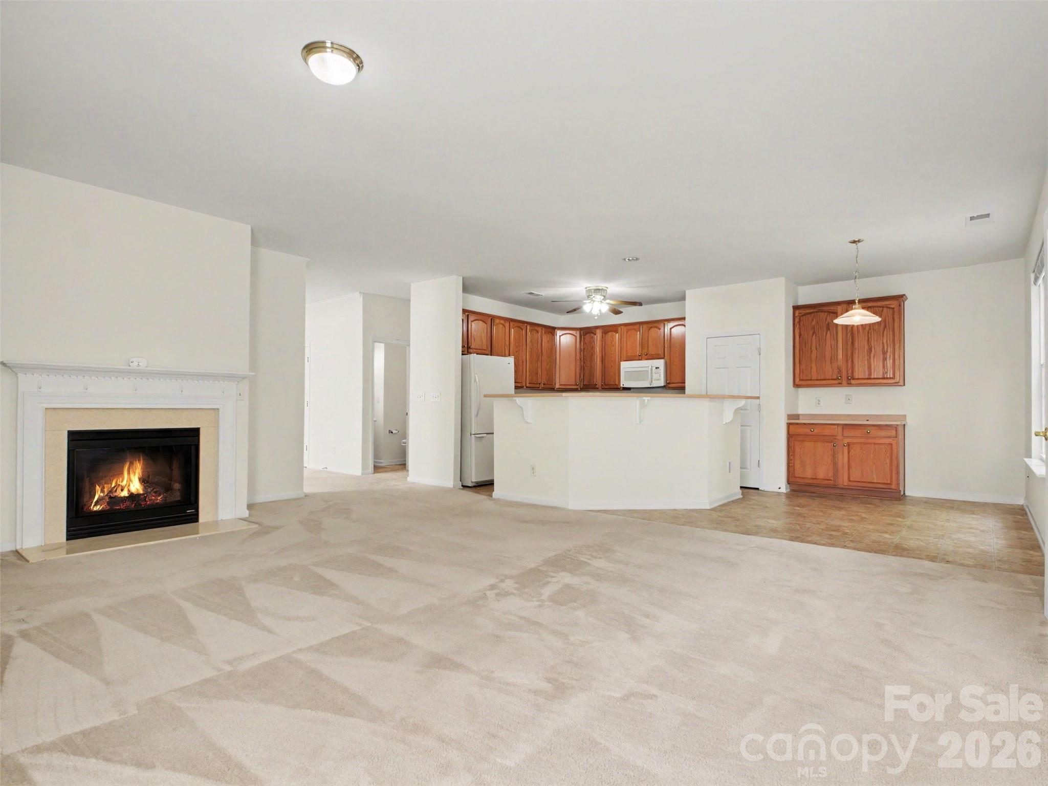 834 Platinum Drive Fort Mill, SC 29708 - Photo 8 of 47