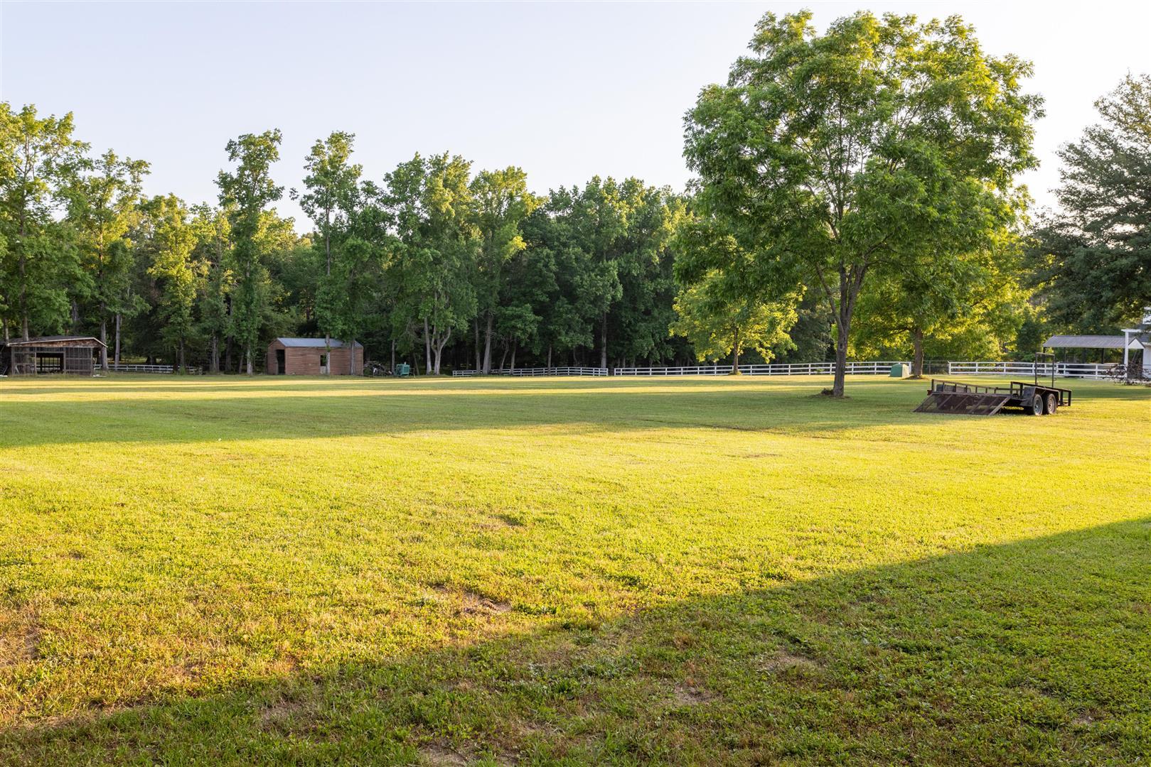 558 West Butternut Road Summerville, SC 29483 - Photo 43 of 54 43 - Pasture 2 (Large)