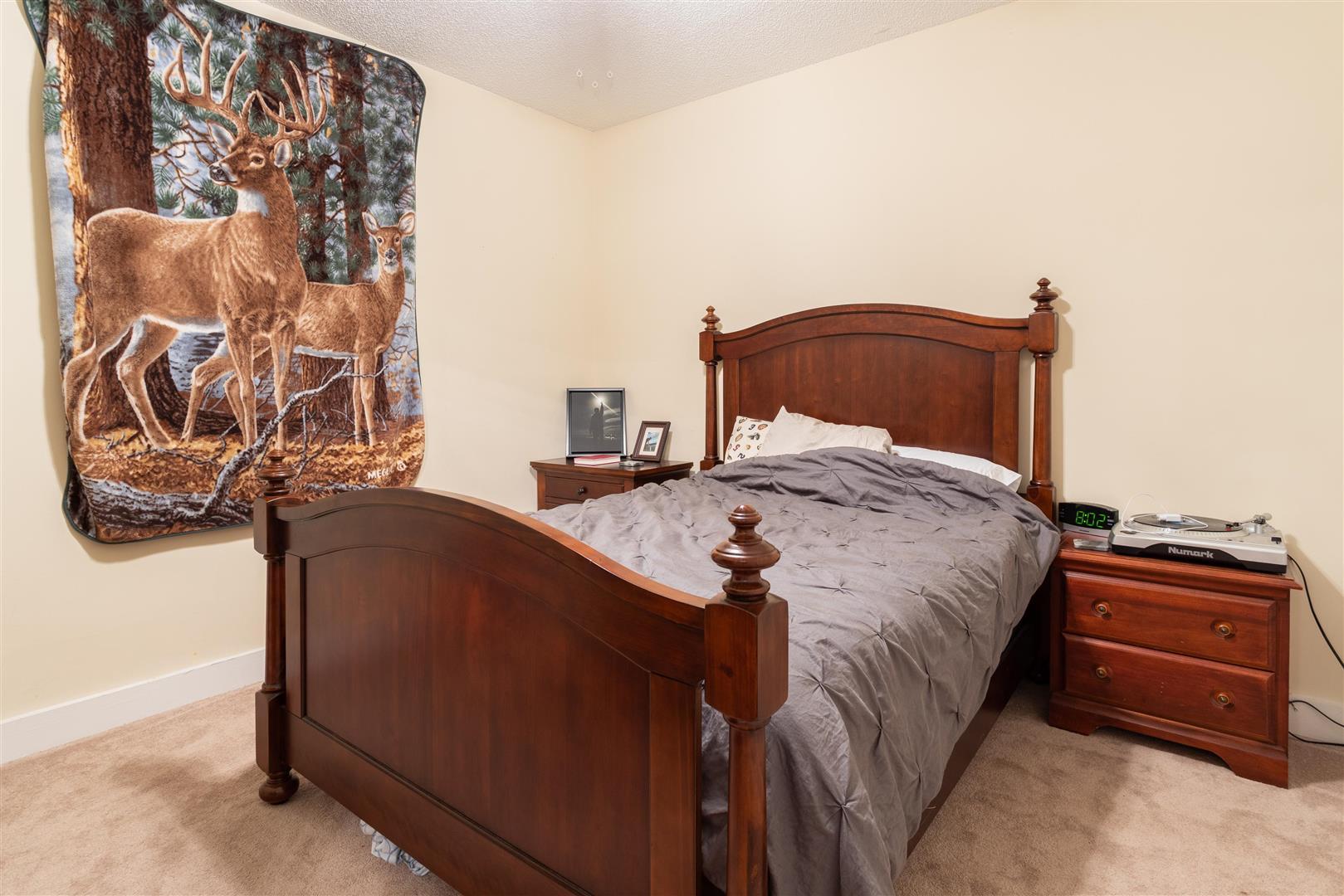 558 West Butternut Road Summerville, SC 29483 - Photo 47 of 54 47 - Barn Apt Bedroom 1 (Large)
