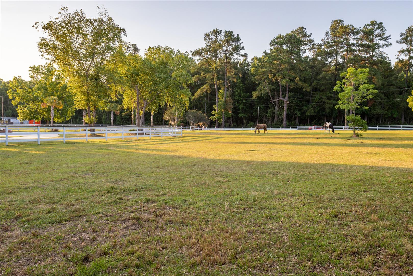 558 West Butternut Road Summerville, SC 29483 - Photo 9 of 54 9 - Pasture (Large)