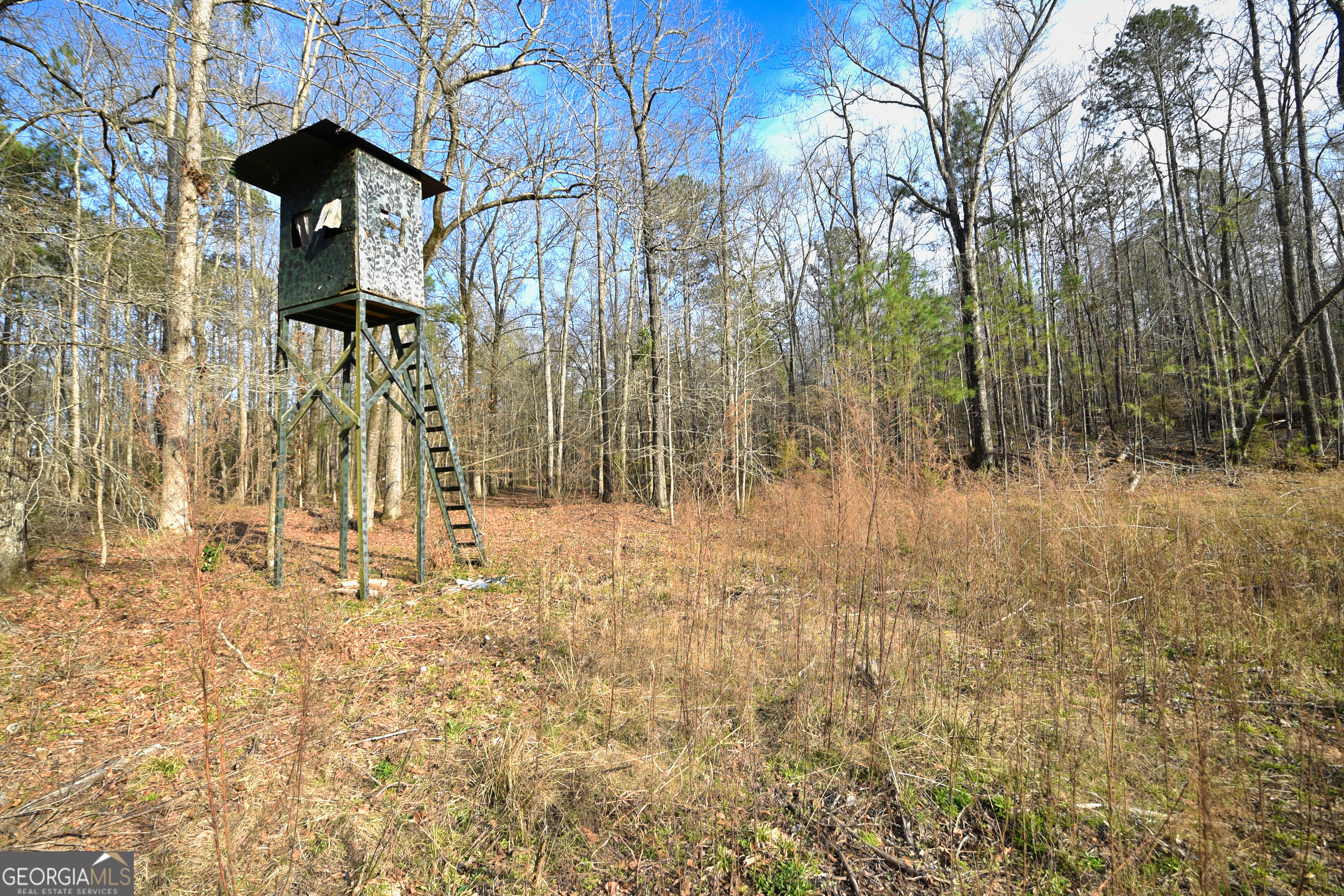 2477 Upper Big Springs Road LaGrange, GA 30241 - Photo 4 of 102