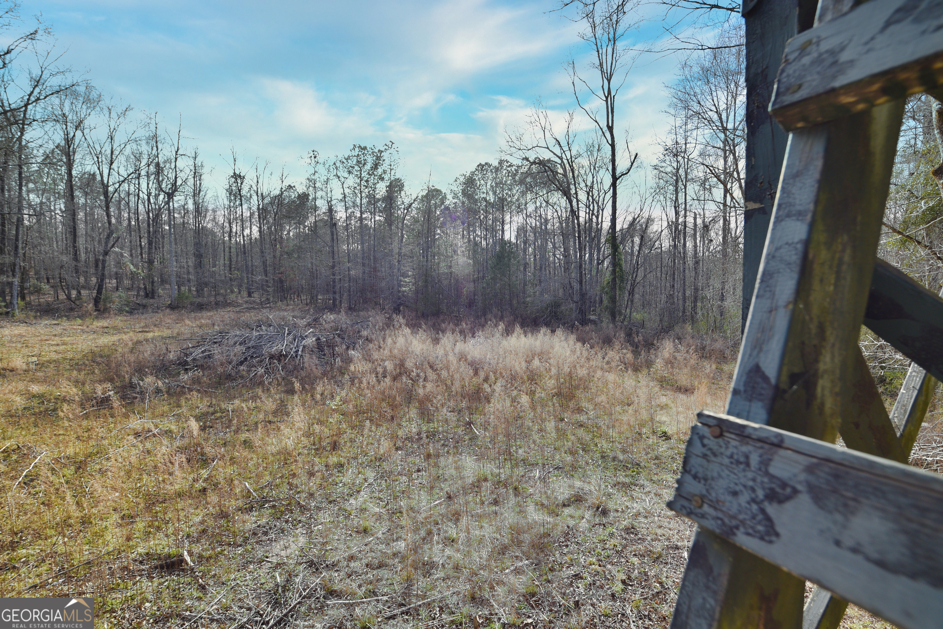 2477 Upper Big Springs Road LaGrange, GA 30241 - Photo 88 of 102