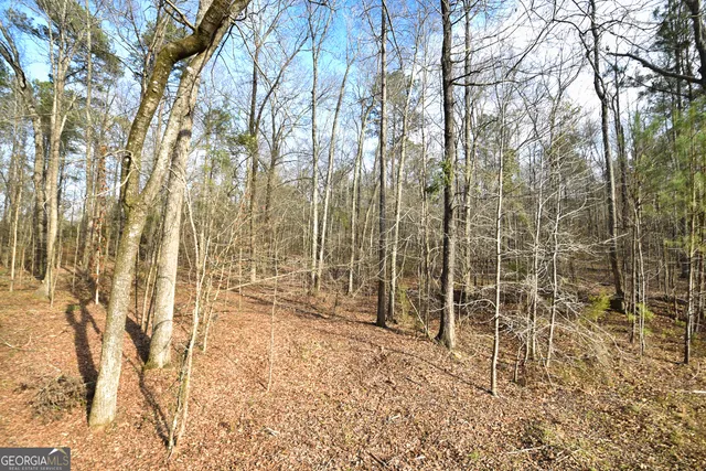 $587,000 | 2477 Upper Big Springs Road, LaGrange, GA 30241