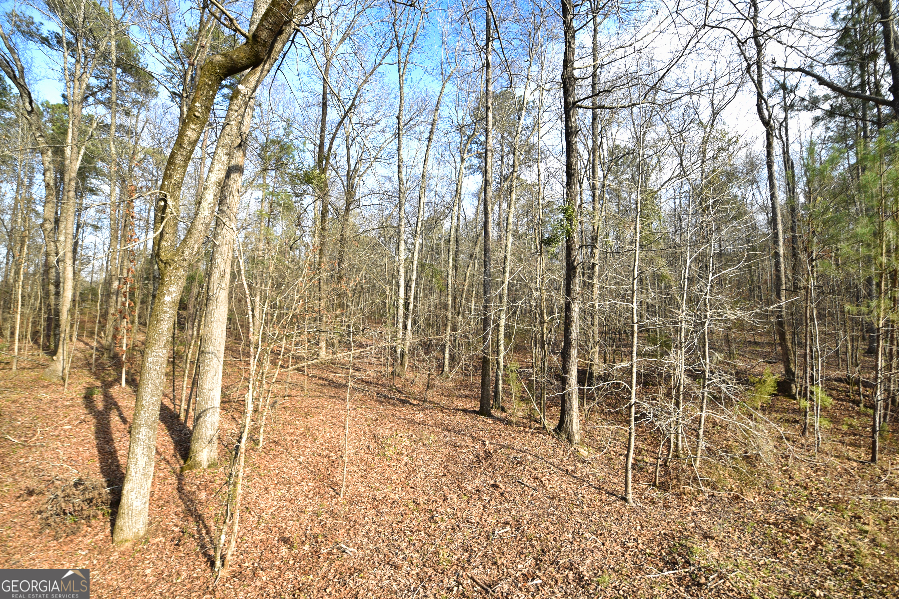 2477 Upper Big Springs Road LaGrange, GA 30241 - Photo 89 of 102