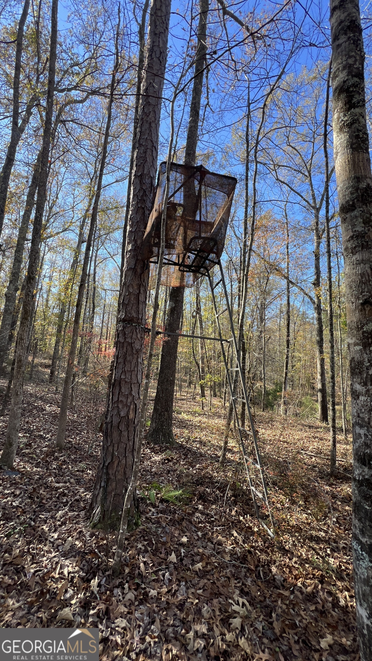 2477 Upper Big Springs Road LaGrange, GA 30241 - Photo 9 of 102