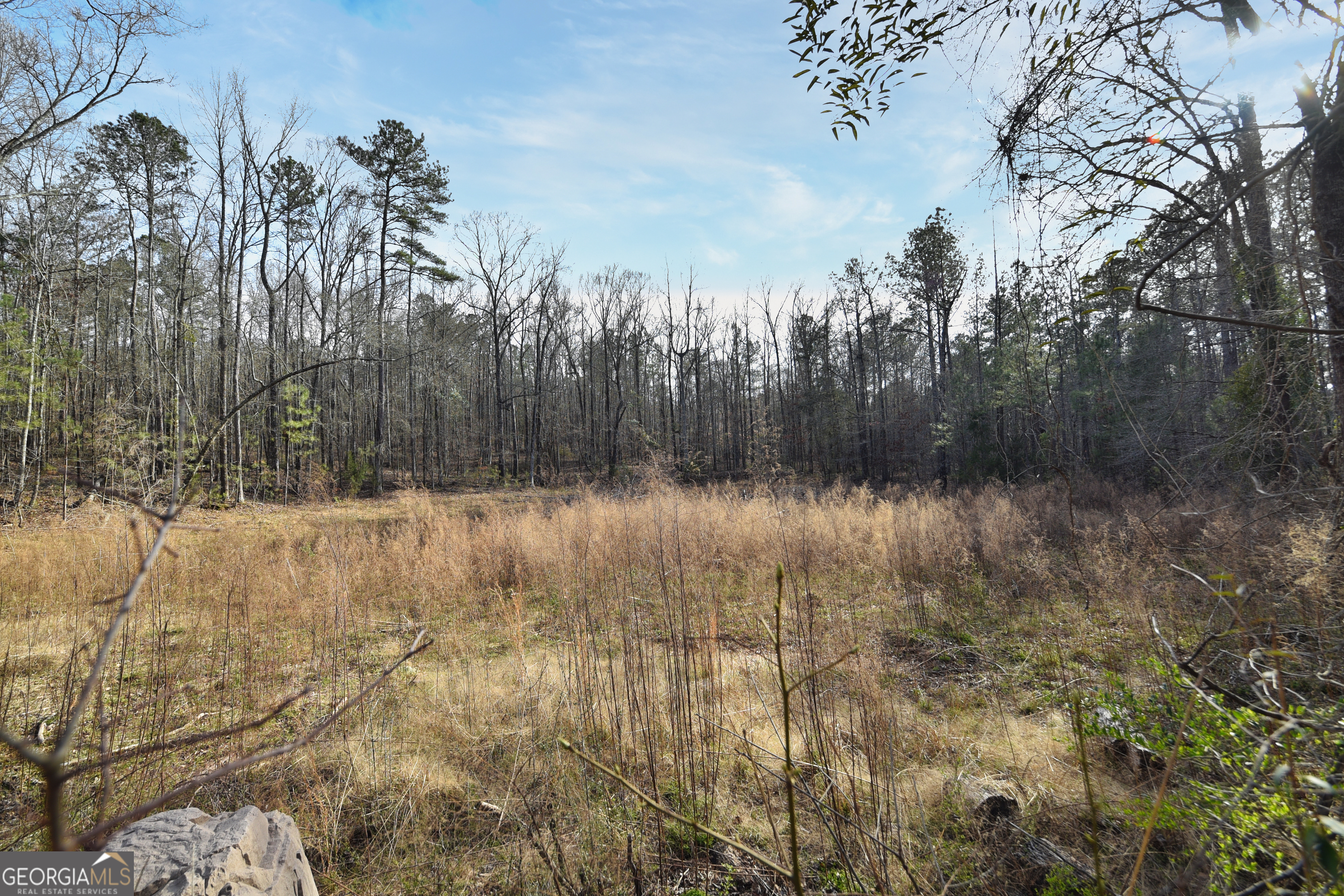 2477 Upper Big Springs Road LaGrange, GA 30241 - Photo 92 of 102