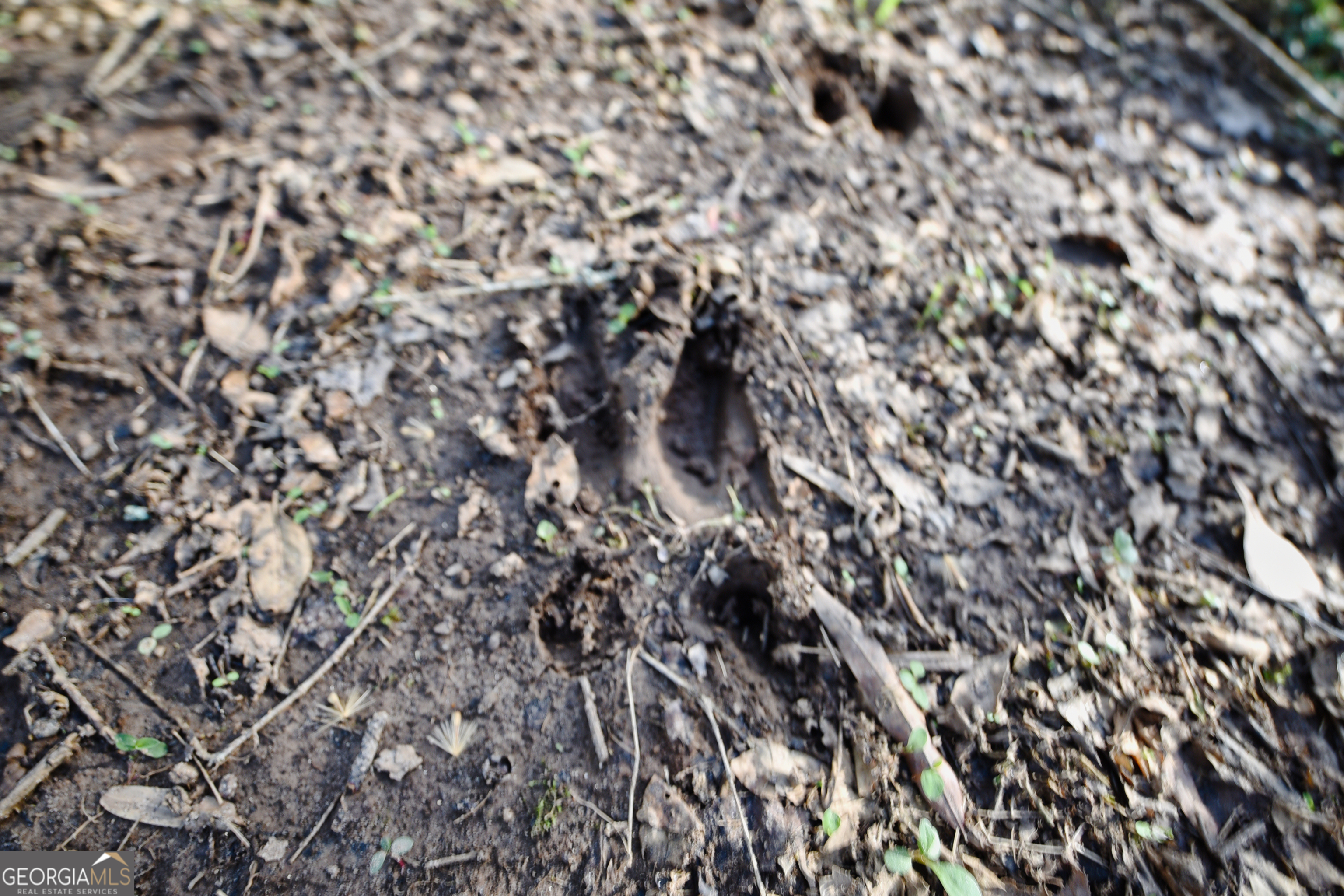 2477 Upper Big Springs Road LaGrange, GA 30241 - Photo 96 of 102