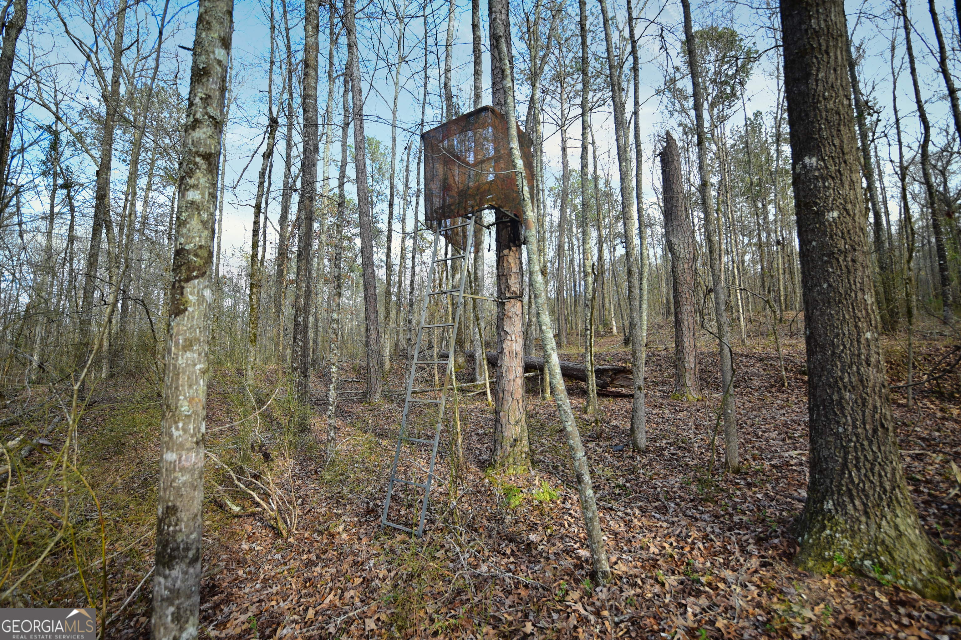 2477 Upper Big Springs Road LaGrange, GA 30241 - Photo 99 of 102