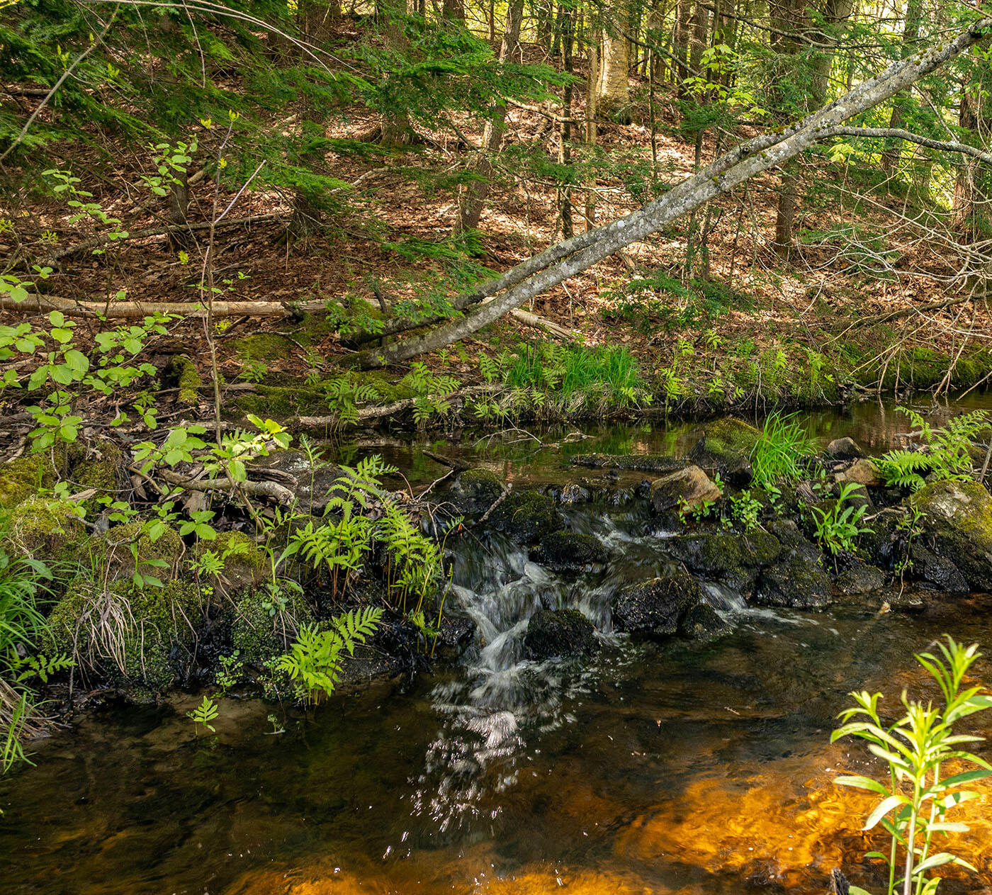 304 Beach Road Lincolnville, ME 04849 - Photo 43 of 43 DJI_0393