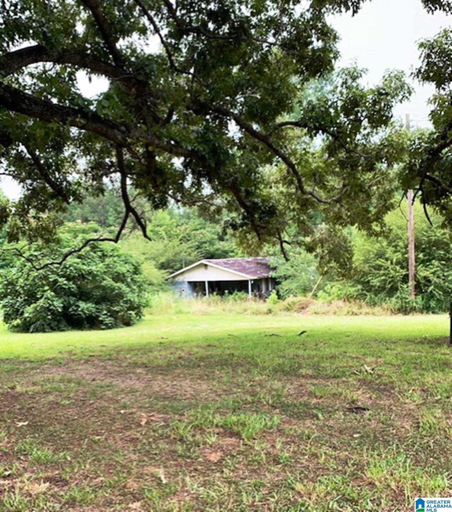 2741 Corinth Road Cragford, AL 36255 - Photo 8 of 12