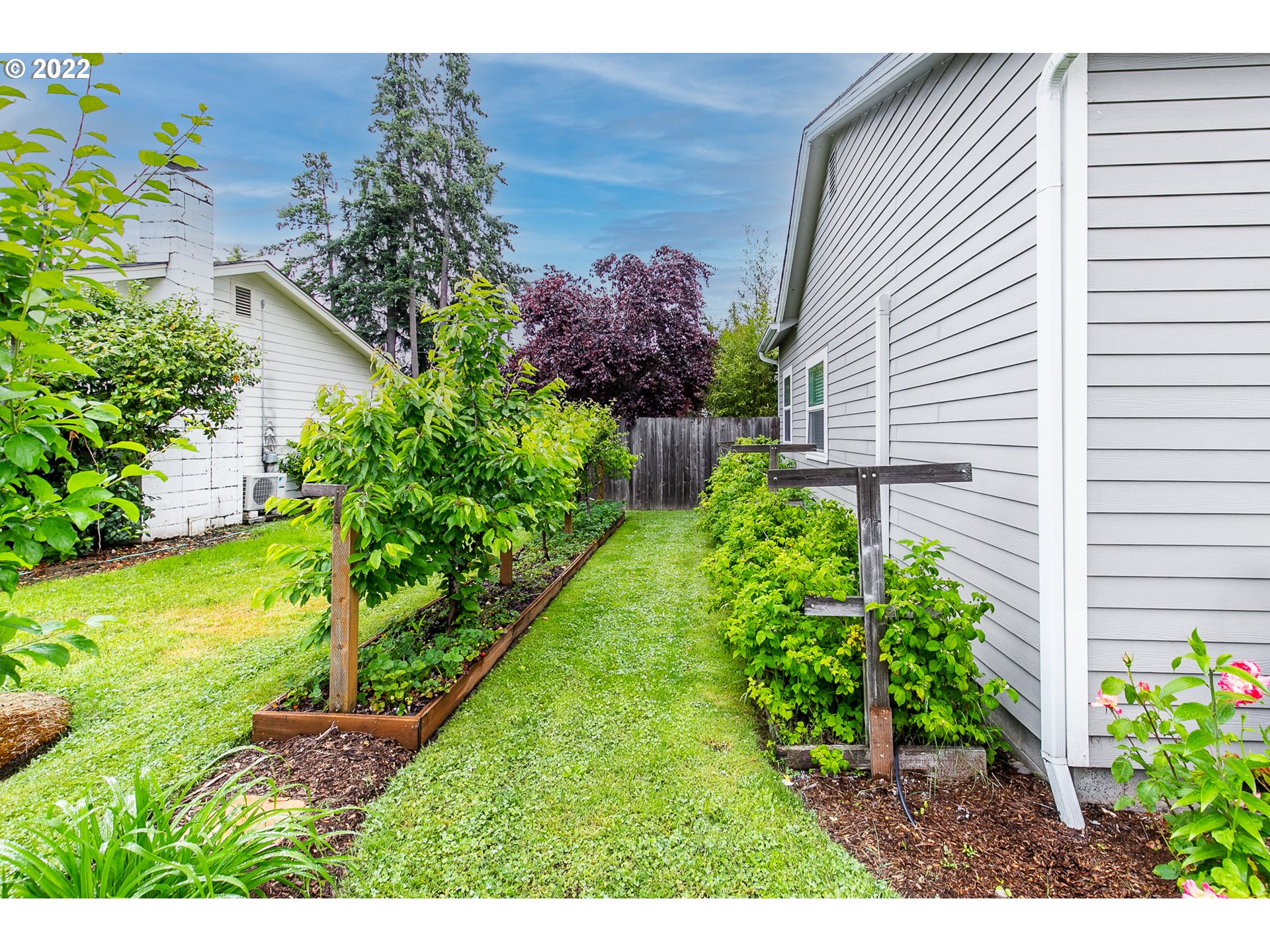 476 U Street Springfield, OR 97477 - Photo 4 of 32 a view of a backyard with potted plants