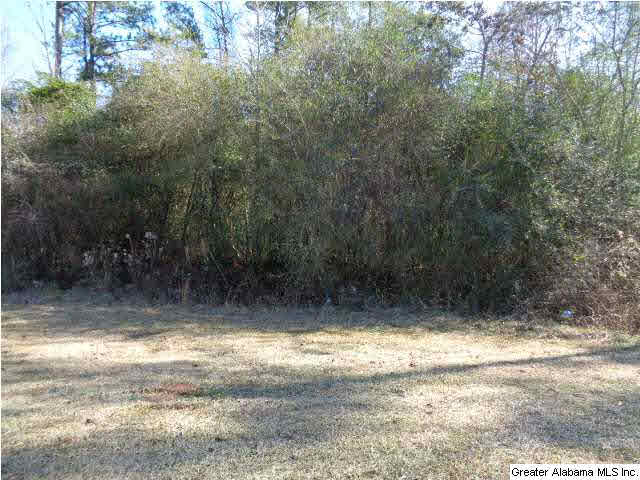 6893 G & H Road Bessemer, AL 35022 - Photo 4 of 20