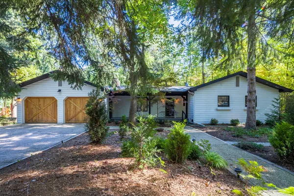 a backyard of a house with plants and large trees
