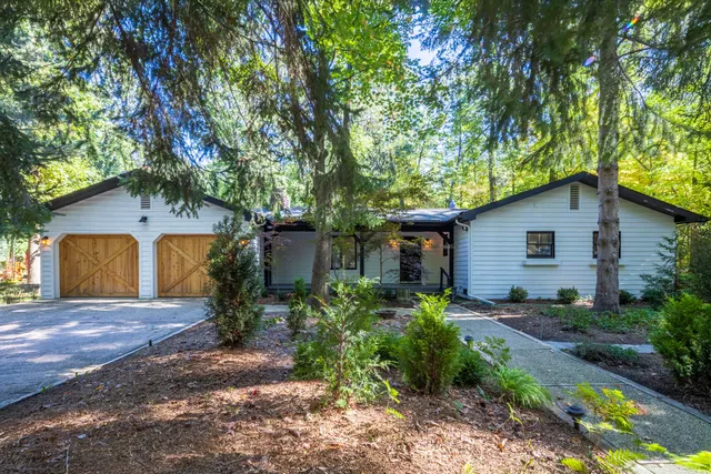 a backyard of a house with plants and large trees