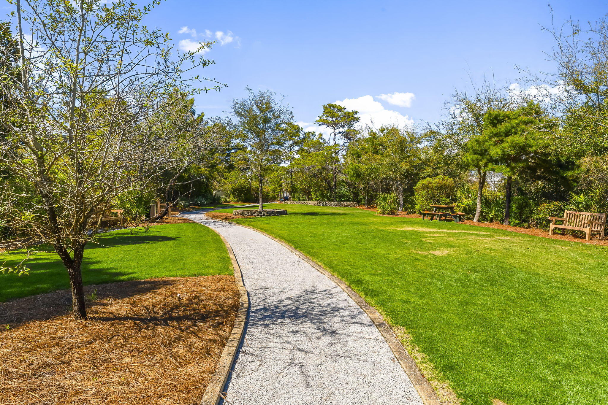 22 Moonlight Beach Lane Inlet Beach, FL 32461 - Photo 68 of 70 a view of a park with large trees