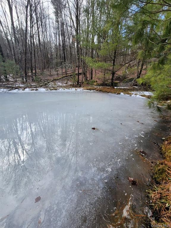 South Old Greenfield Road, Greenfield Park, NY 12435 Compass