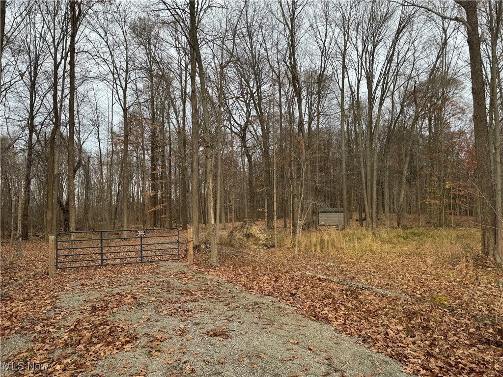 4255 Alexander Road Atwater, OH 44201 - Photo 10 of 10 Driveway and woods