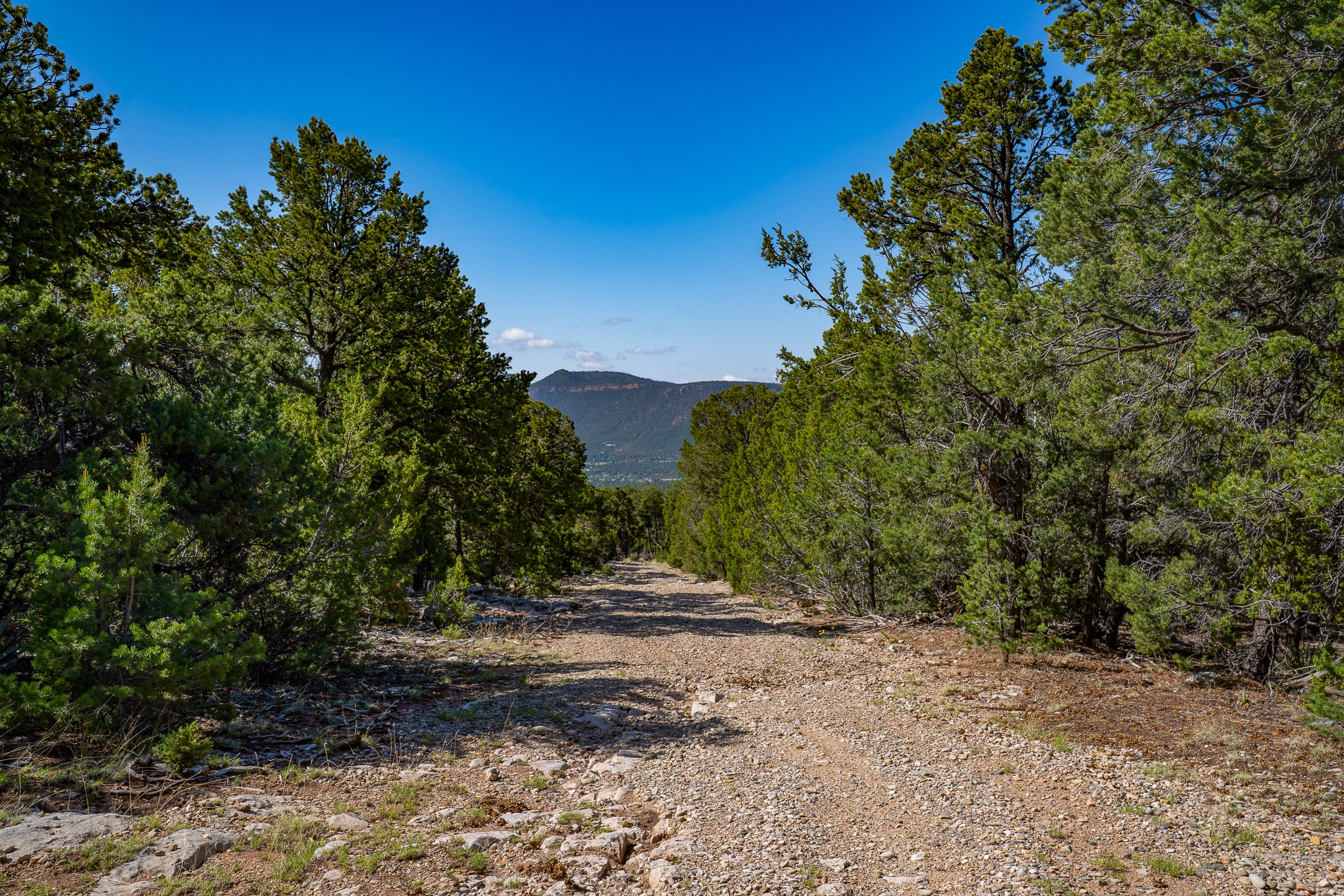 139 Velasquez Road Glorieta, NM 87535 - Photo 1 of 1 Gallery Image 1