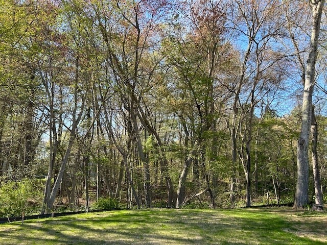 5 Carter Road Wilmington, MA 01887 - Photo 31 of 32 Gallery Image 31