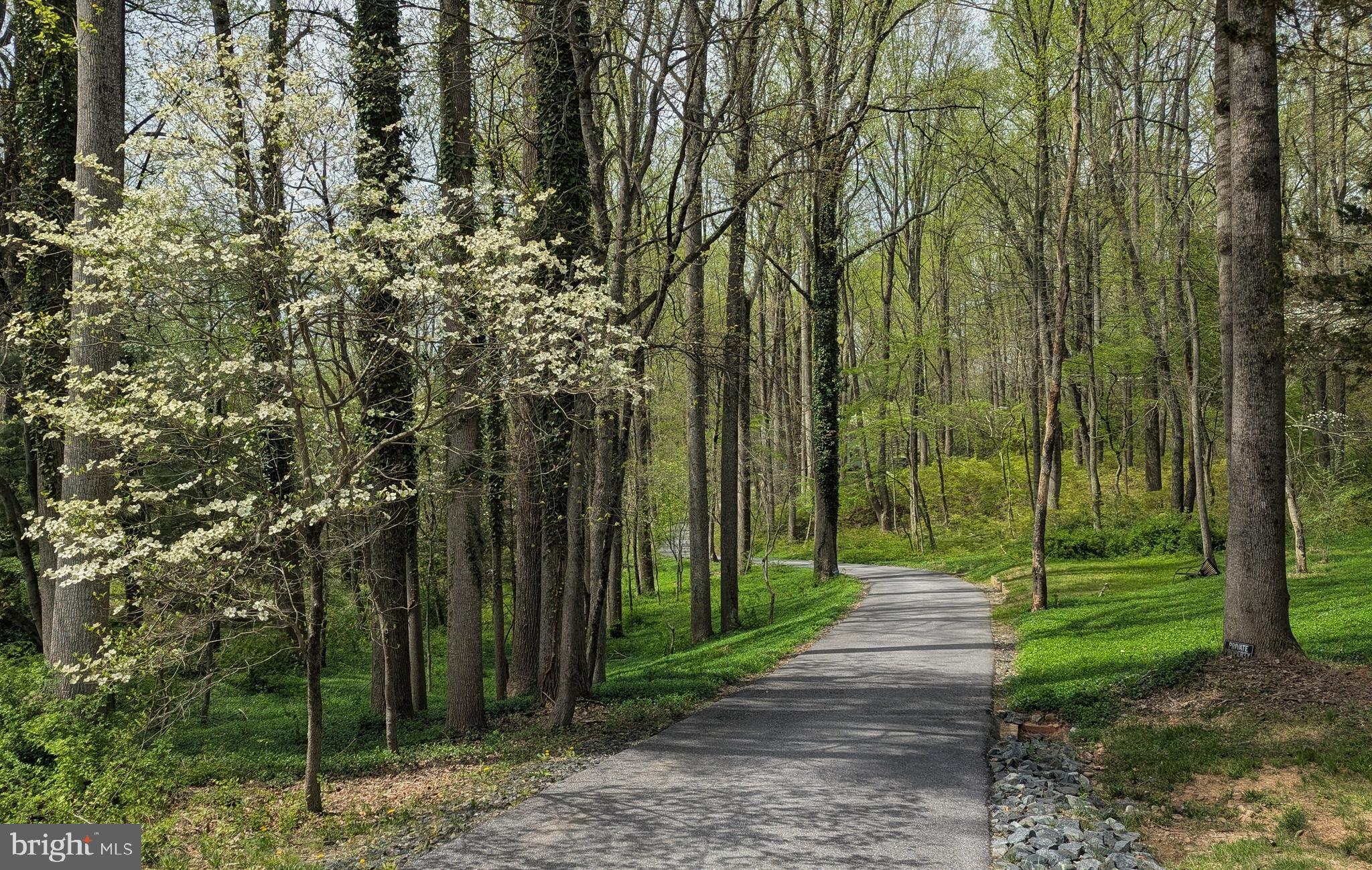 7190 Mink Hollow Road Highland, MD 20777 - Photo 2 of 3 a view of park with trees