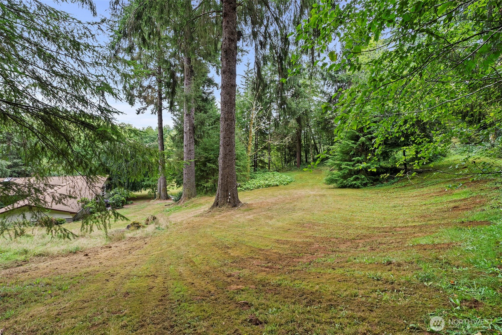 43 Hines Valley Road Raymond, WA 98577 - Photo 37 of 40 a view of a yard with a tree