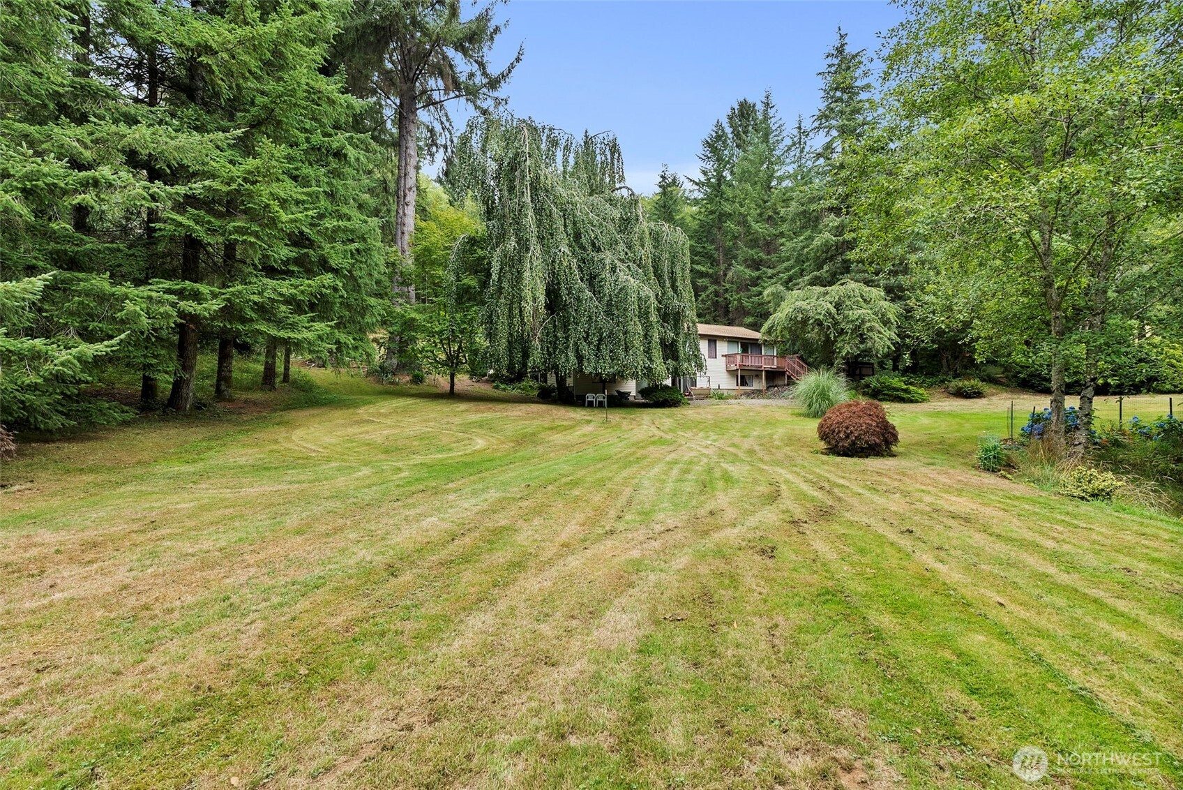 43 Hines Valley Road Raymond, WA 98577 - Photo 39 of 40 a view of a garden with trees