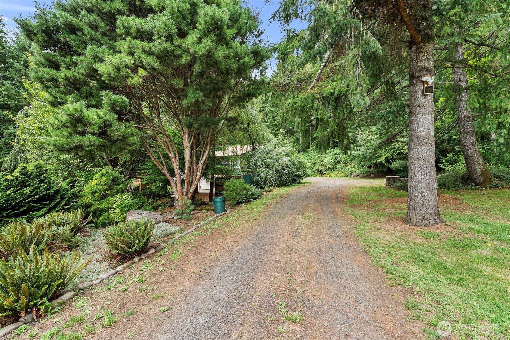 43 Hines Valley Road Raymond, WA 98577 - Photo 4 of 40 a view of a yard with plants and a large tree