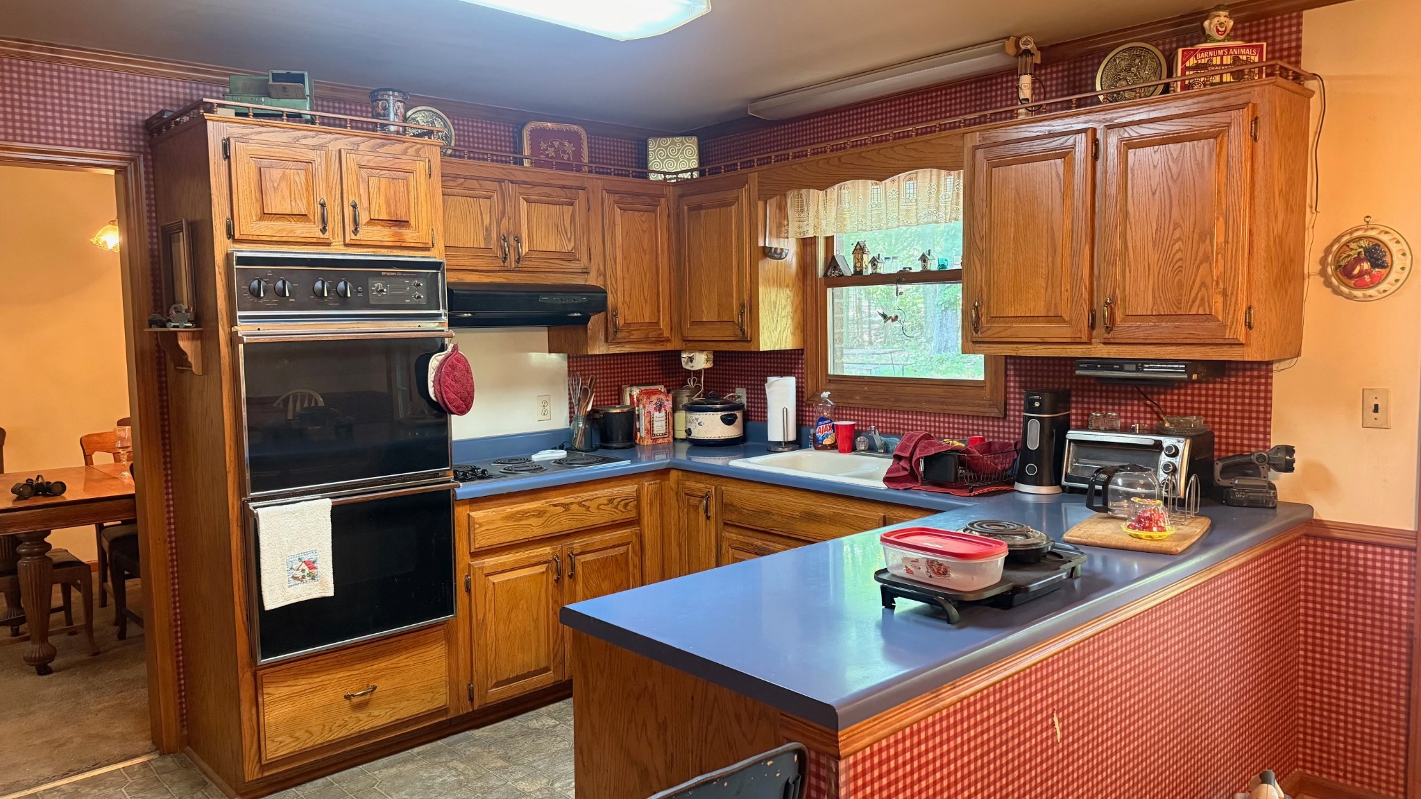 5260 New Cut Road Greenbrier, TN 37073 - Photo 4 of 9