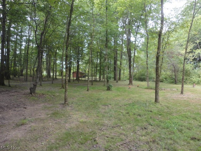 Heisler Road North Benton, OH 44449 - Photo 10 of 14 Gallery Image 10