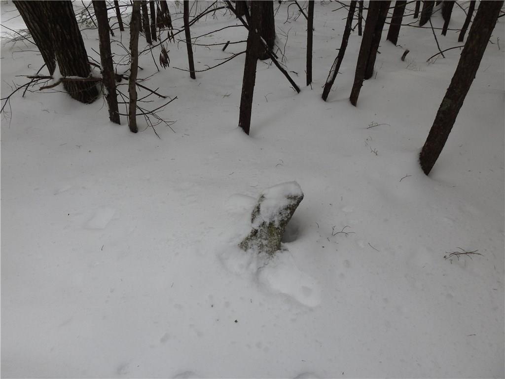 50 Poor Farm Road Lyman, ME 04002 - Photo 3 of 11 Photo