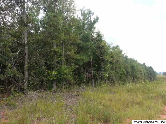 Oak Grove Road, Unit 72AC Lineville, AL 36266 - Photo 2 of 6