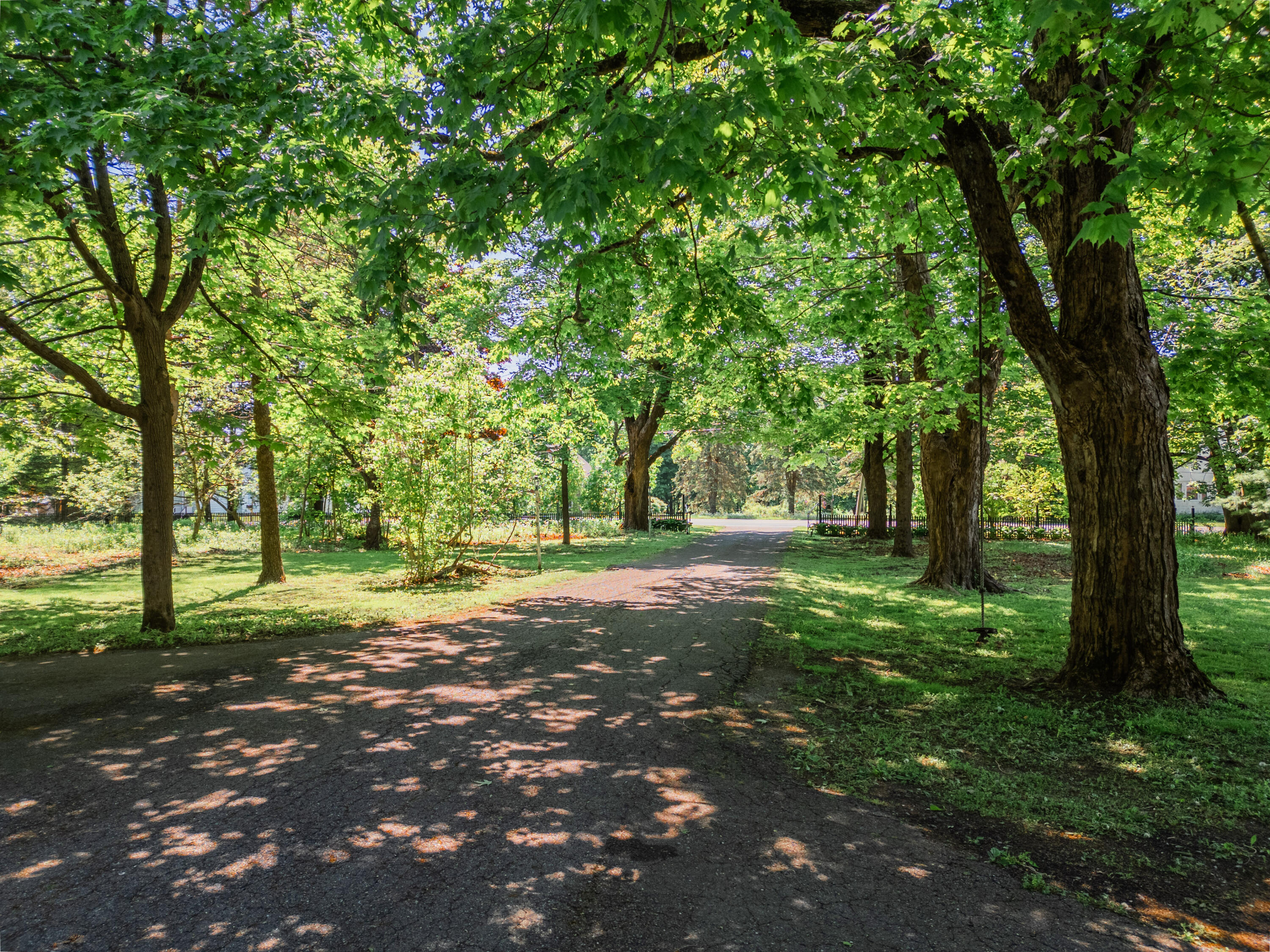 DJI_0415-HDR
