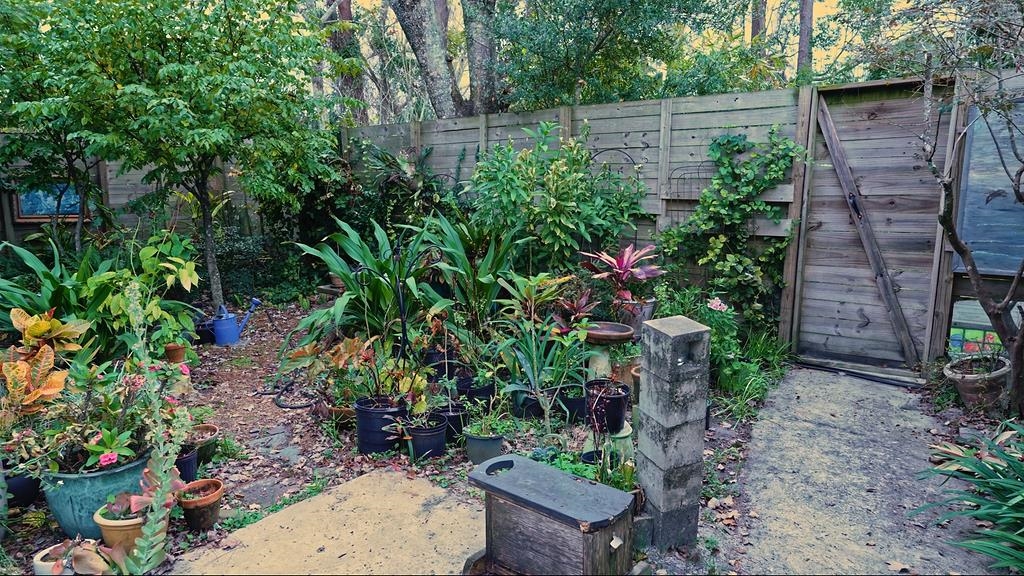 708 Prince Road St. Augustine, FL 32086 - Photo 20 of 41 a backyard of a house with lots of green space